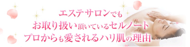 ���ʎ�����95���I�o�X�g�A�b�v�W�F���uCellnote�v���T�C�g